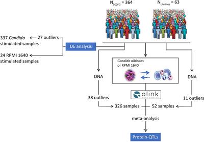 Frontiers | Inflammatory Protein Profiles in Plasma of Candidaemia